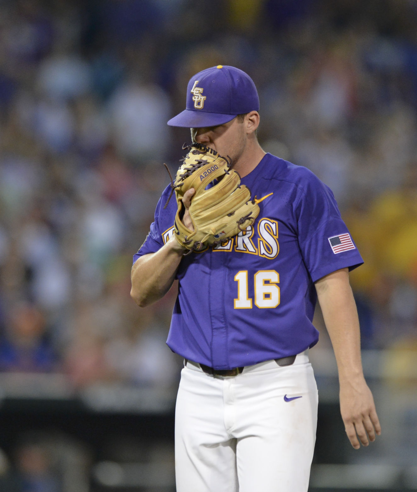BR.lsuflorida.062817 HS 1134.JPG